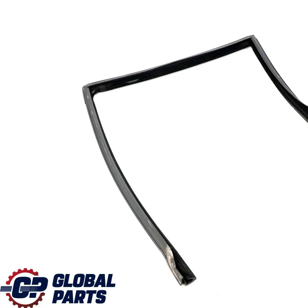 BMW X5 Series E53 Door Window Guide Rear Left N/S Seal Sealing - SKU 8402591 - Part number 8402591