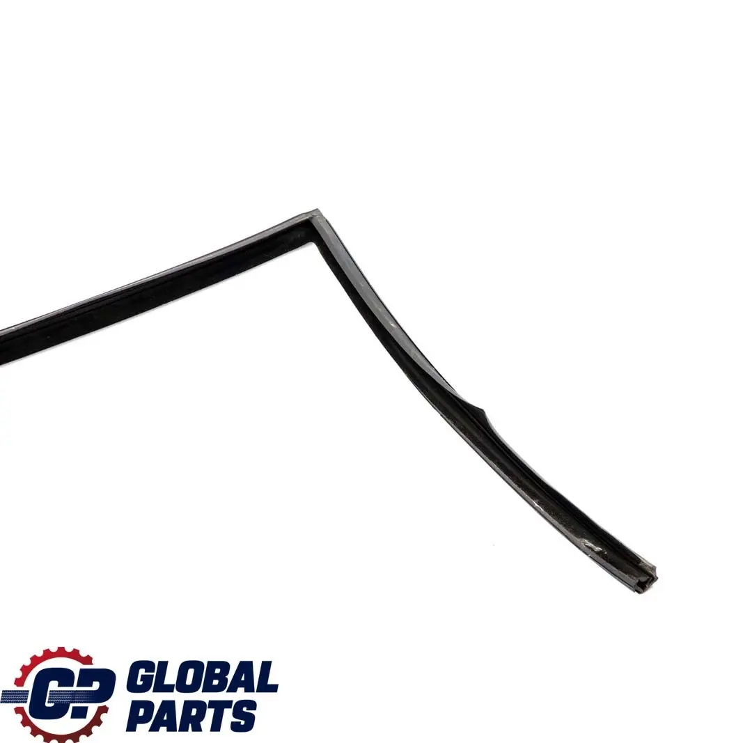 BMW X5 Series E53 Door Window Guide Rear Left N/S Seal Sealing - SKU 8402591 - Part number 8402591
