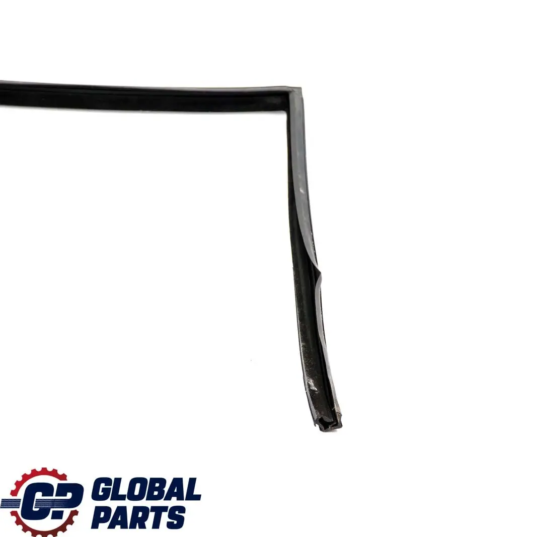 BMW E53 Guia de Ventana de Puerta Trasera Izquierda Sello de Sellado - SKU 8402591 - Número de pieza 8402591