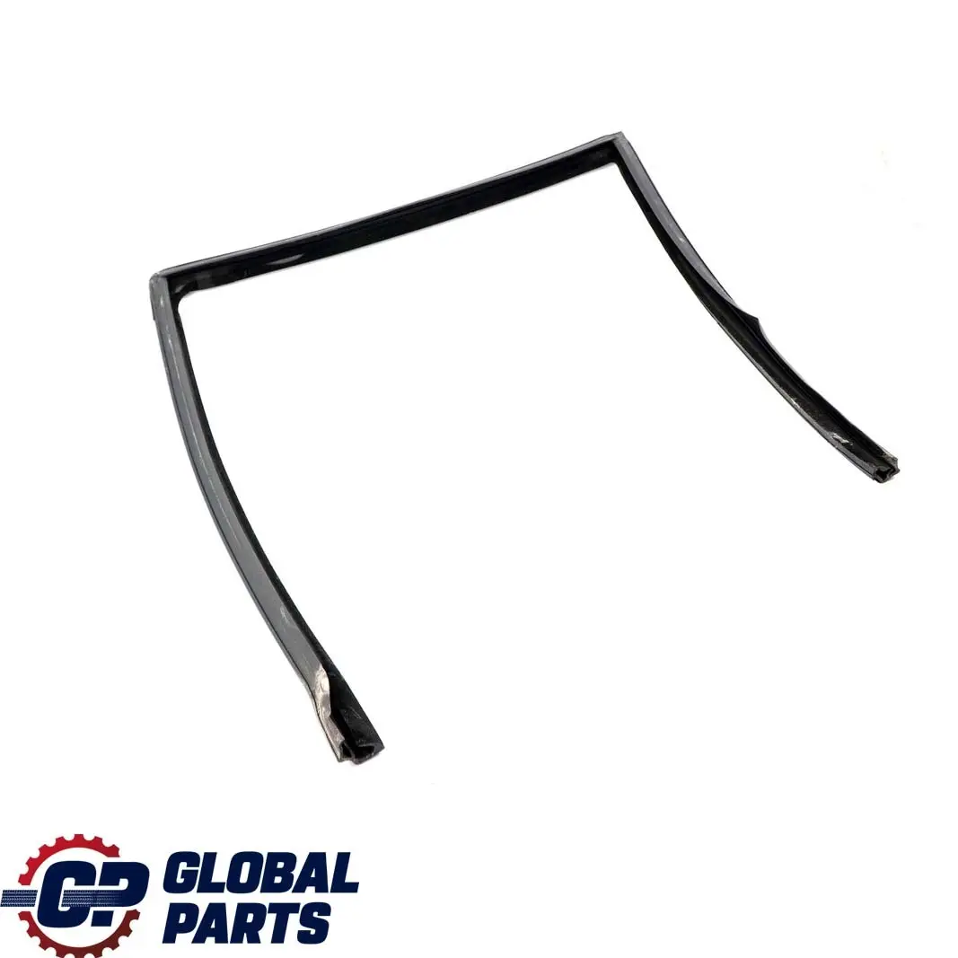 BMW X5 Series E53 Door Window Guide Rear Left N/S Seal Sealing - SKU 8402591 - Part number 8402591