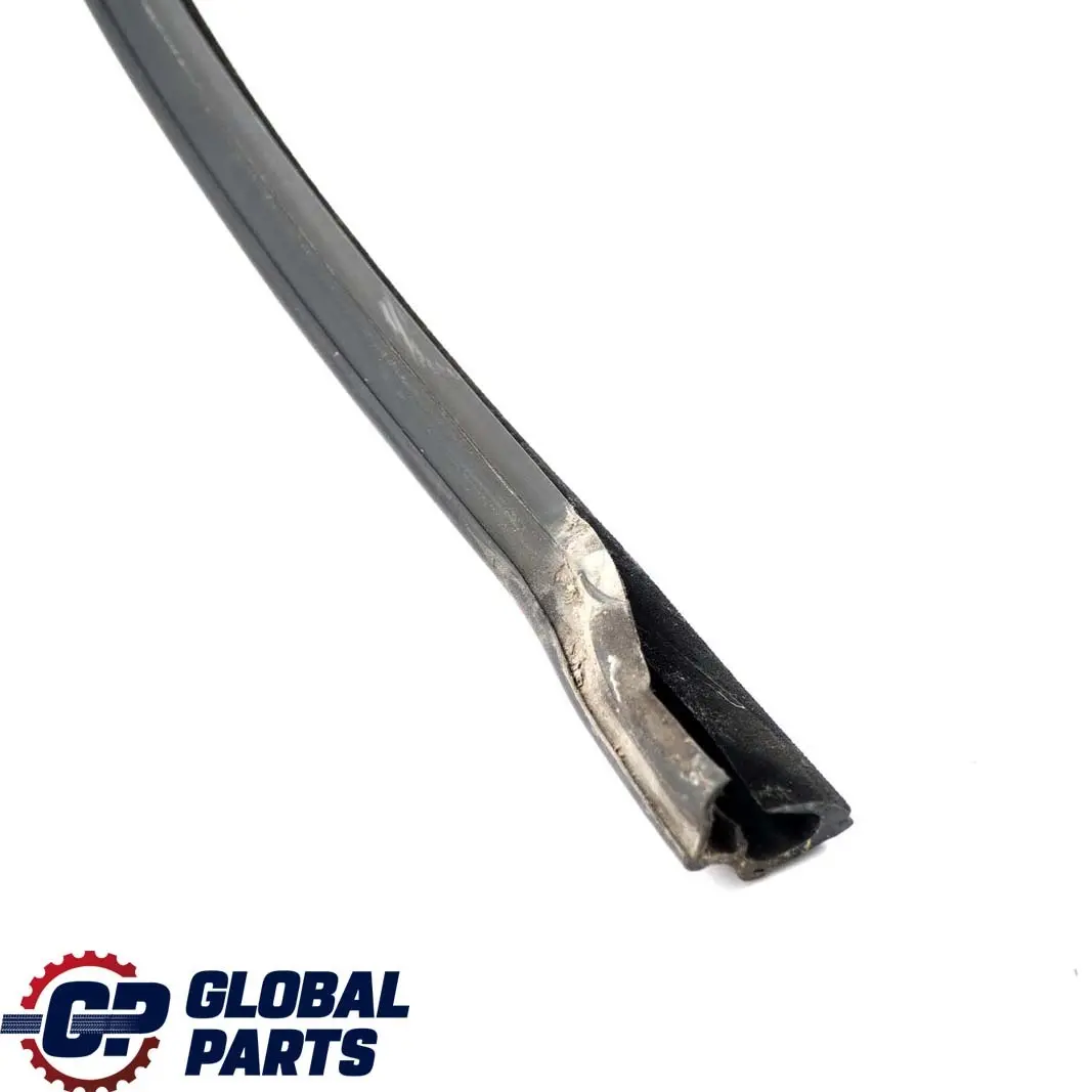 BMW X5 E53 Guida Finestrino Posteriore Sinistro Guarnizione Tenuta - SKU 8402591 - Numero di parte 8402591