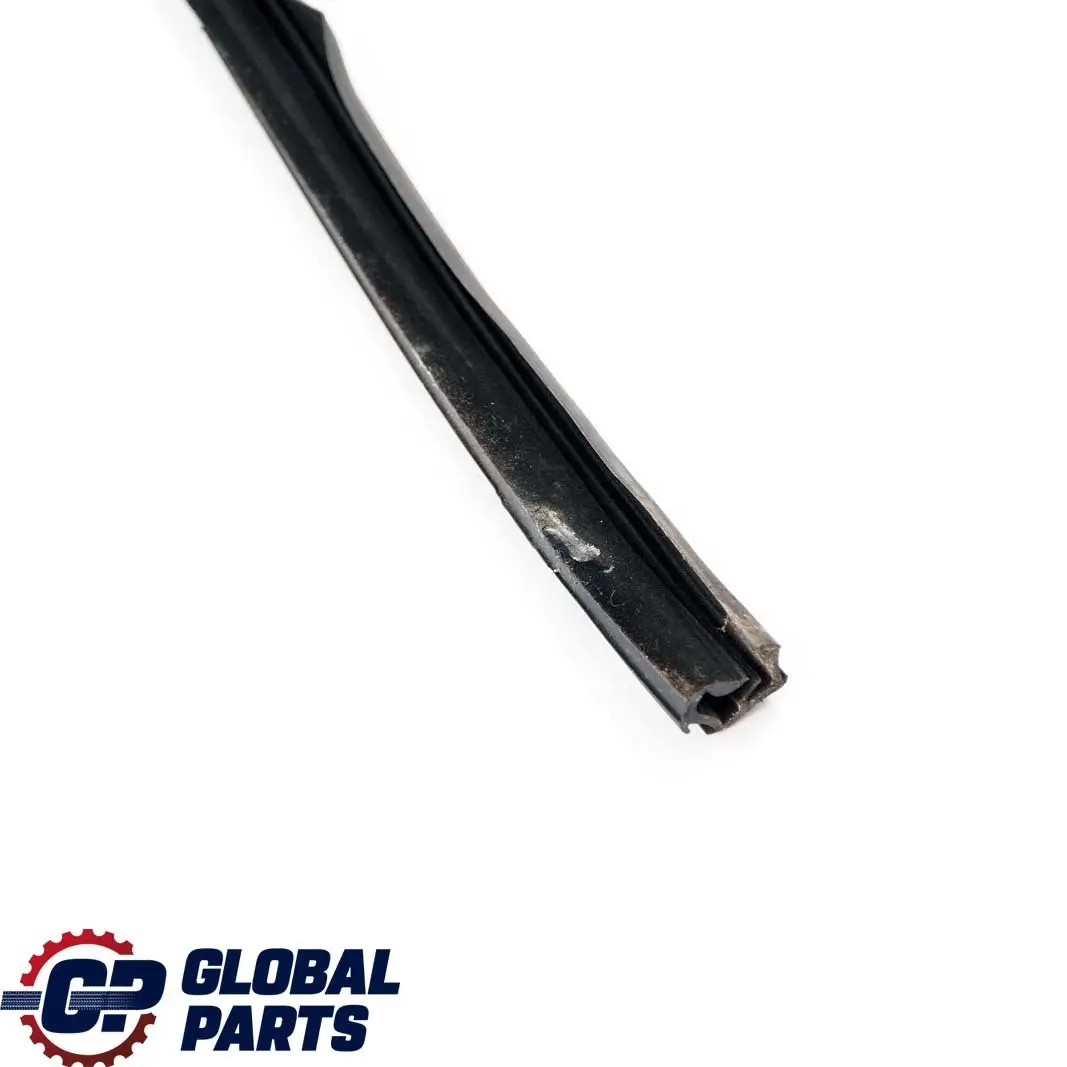 BMW X5 Series E53 Door Window Guide Rear Left N/S Seal Sealing - SKU 8402591 - Part number 8402591