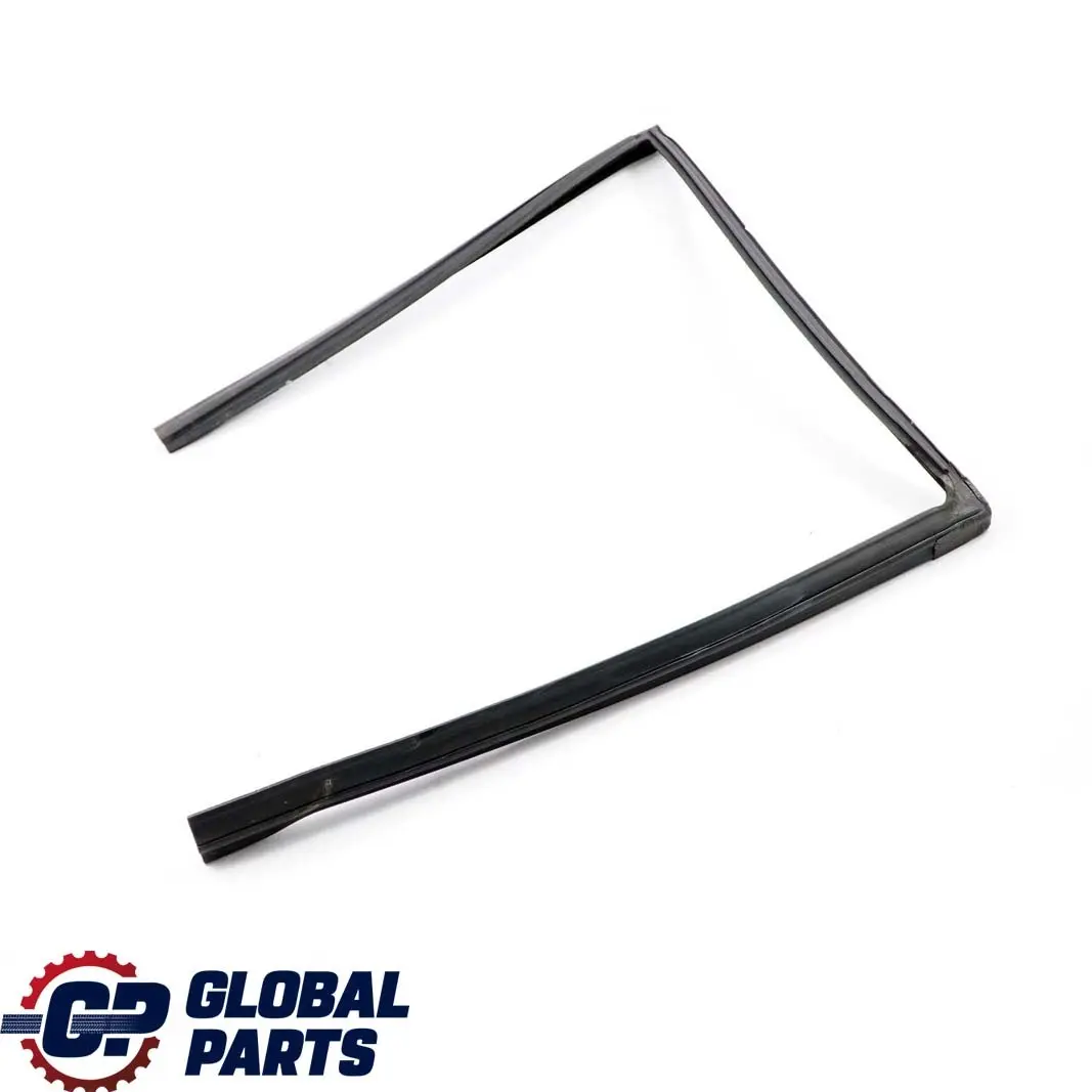 BMW X5 Series E53 Door Window Guide Rear Left N/S Seal Sealing - SKU 8402591 - Part number 8402591