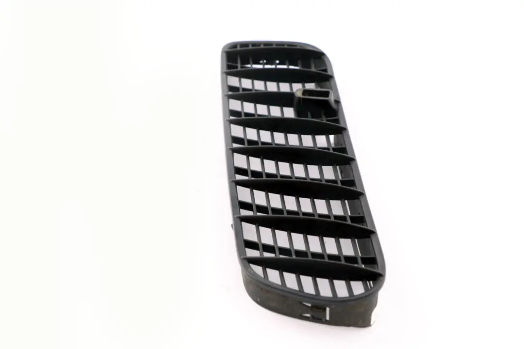 BMW X5 E53 Griglia Ornamentale Lufteintritt SX 5113 - SKU 8402669 - Numero di parte 8402669