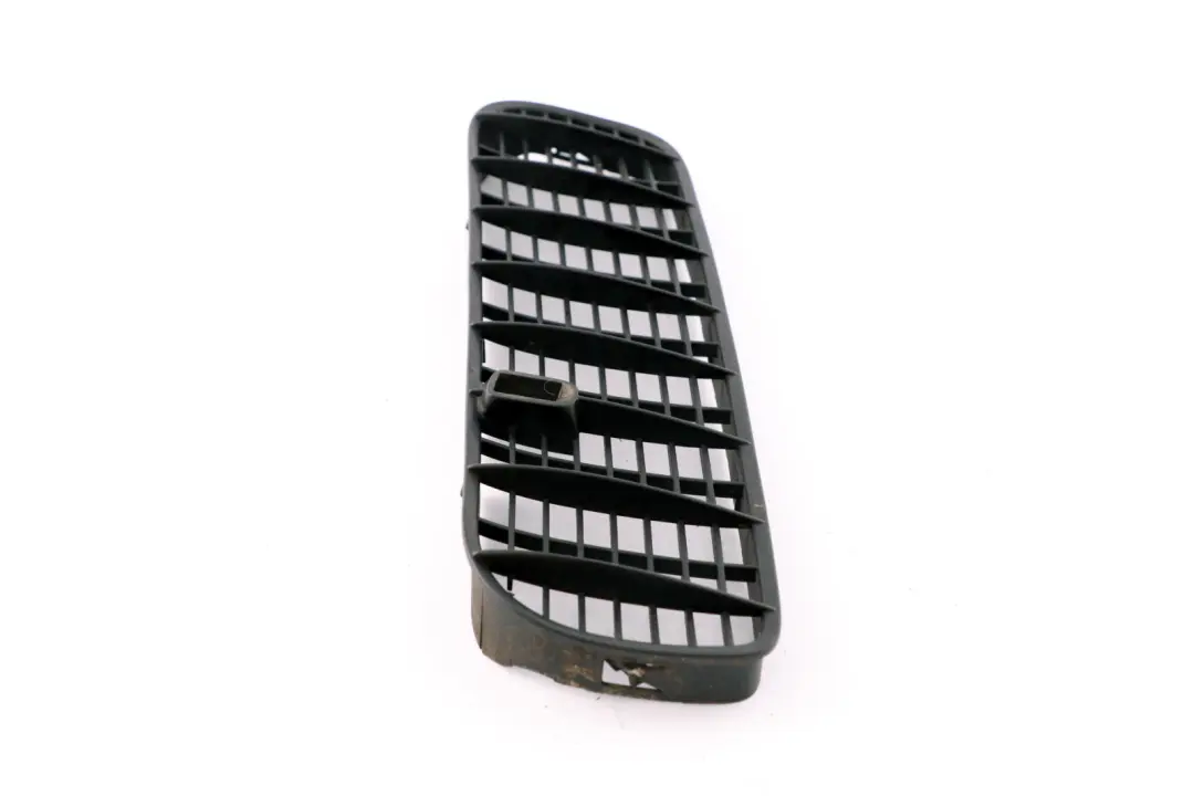 Griglia Ornamentale Lufteintritt SX 5113 per BMW X5 E53 con numero di parte 8402669 BMW X5 E53 Griglia Ornamentale Lufteintritt SX 5113 - SKU 8402669 - Numero di parte 8402669