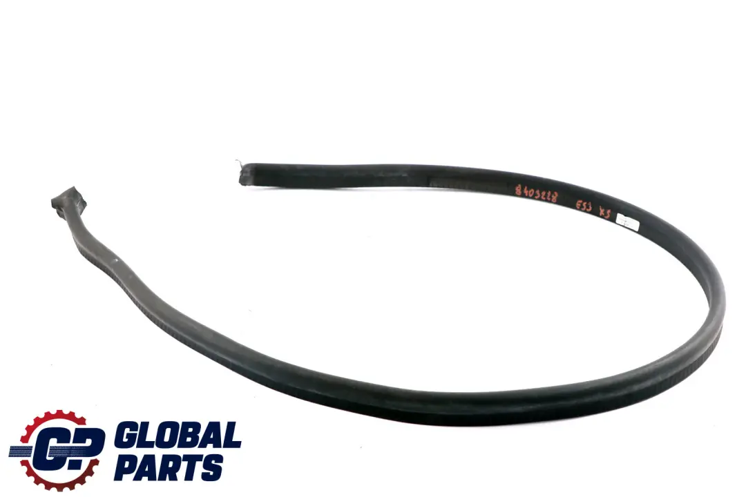 BMW X5 E53 Motor Capo Capo Centro De Sellado 5171 - SKU 8403228 - Número de pieza 8403228