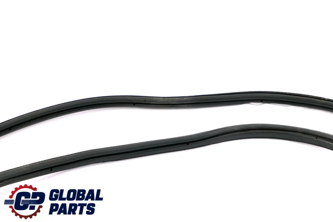 BMW X5 Series E53 Trunk Boot Lid Seal Edge Gasket Protection Rear - SKU 8403231 - Part number 8403231