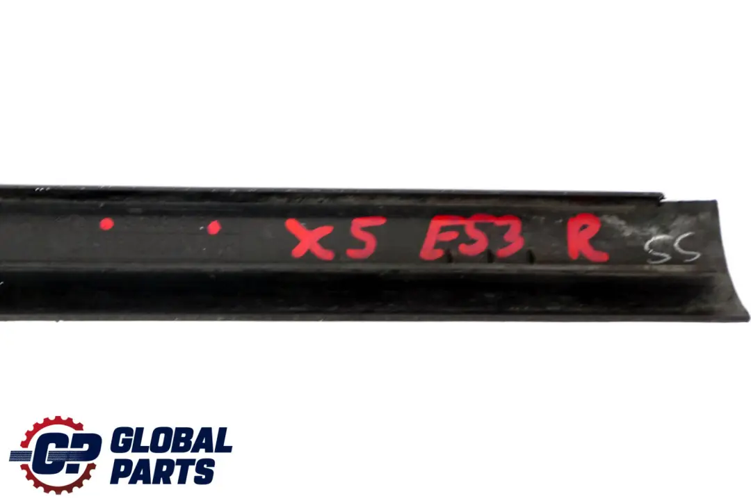 BMW X5 er E53 Blende Trittbrett rechts 5171 - SKU 8408678 - Teilenummer 8408678