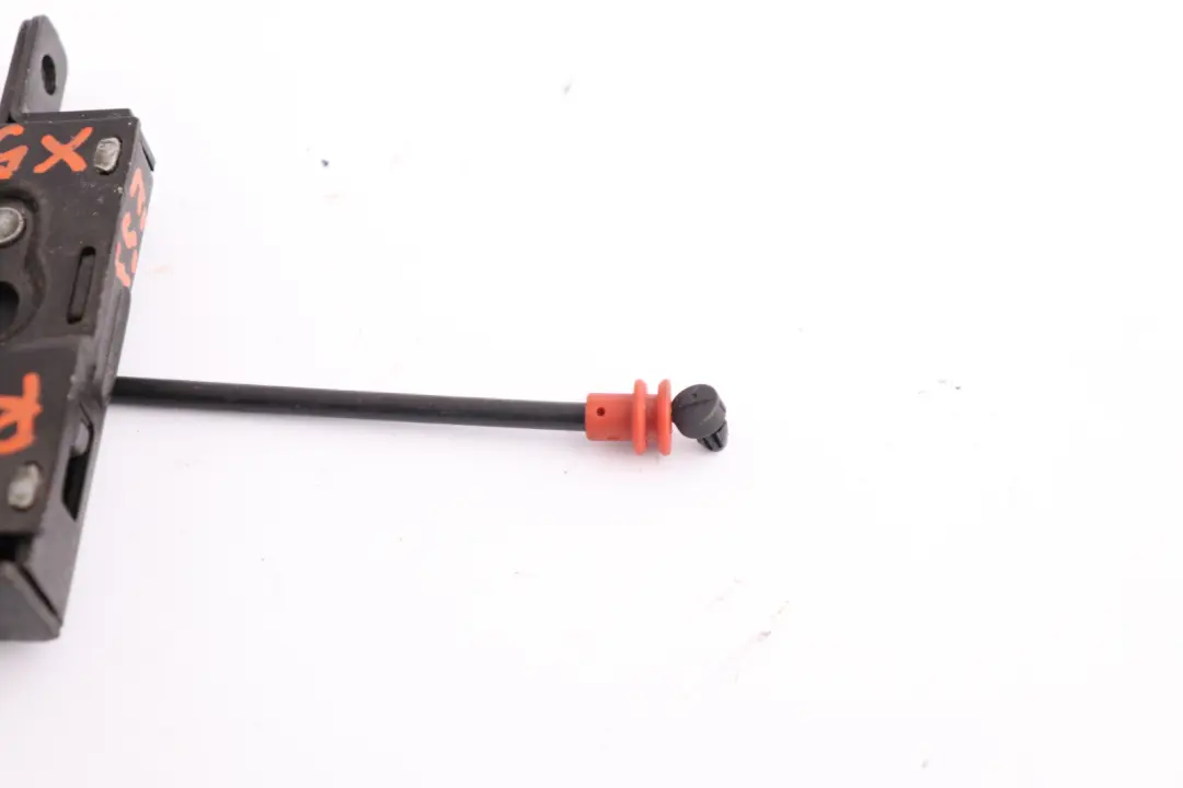 BMW X5 Serie E53 Chateau Hayon en Bas a Droite 5124 - SKU 8408964 - Numéro de pièce 8408964