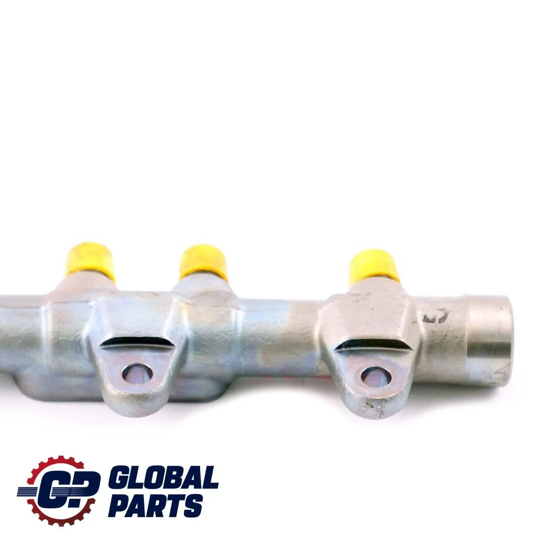 B47 Accumulatore Rotaia Pressione Carburante per BMW F20 F21 F30 F31 LCI con numero di parte 8514154 BMW F20 F21 F30 F31 LCI B47 Accumulatore Rotaia Pressione Carburante - SKU 8514154 - Numero di parte 8514154