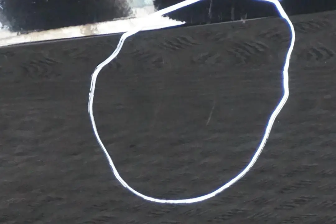 Porta Anteriore Destra Nero 2 - per BMW F40 con numero di parte 8737064 BMW F40 Porta Anteriore Destra Nero 2 - - SKU 8737064-SCH - Numero di parte 8737064