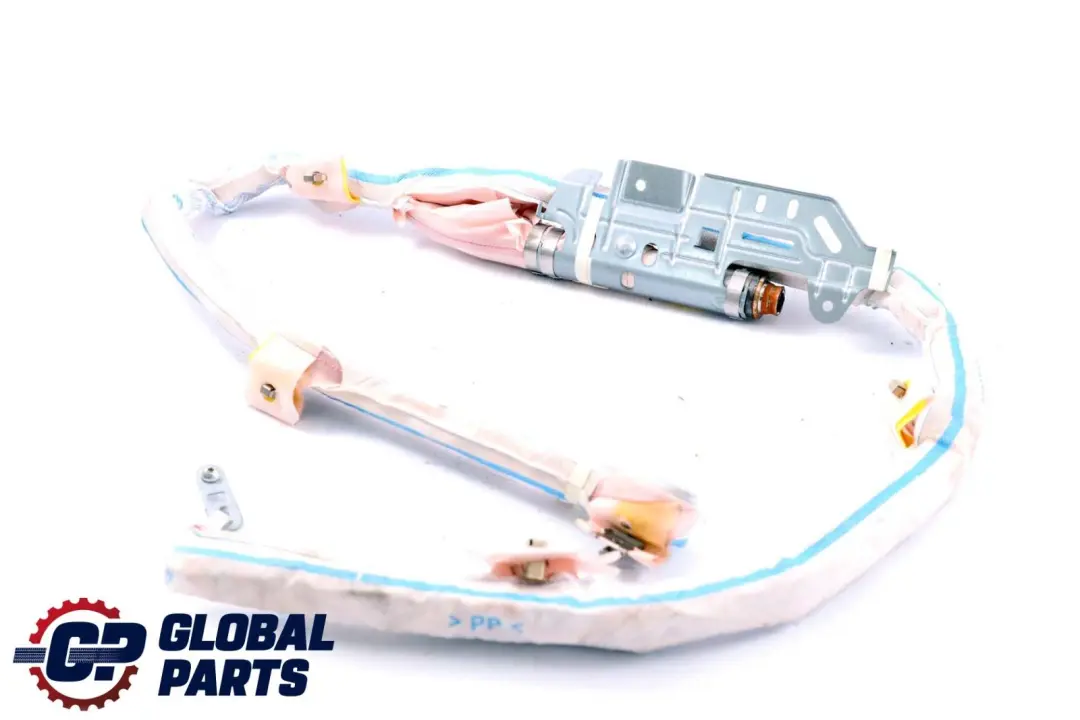 BMW F01 Modulo Aria Cielo Tetto Tendina Sinistra - SKU 9110271 - Numero di parte 9110271