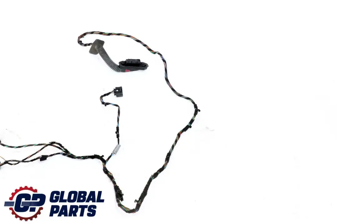 BMW X5 er E70 Kabelsatz Kabelbaum Kabel Tür Türe Hinten Rechts Links - SKU 9116978 - Teilenummer 9116978