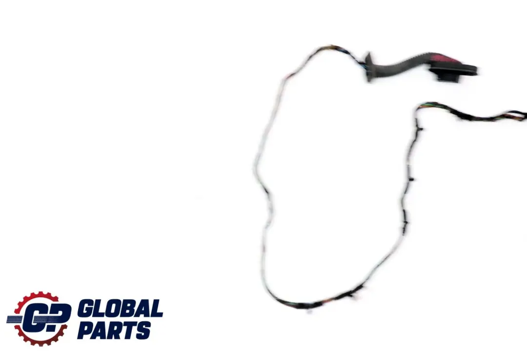 BMW X5 er E70 Kabelsatz Kabelbaum Kabel Tür Türe Hinten Rechts Links - SKU 9116978 - Teilenummer 9116978