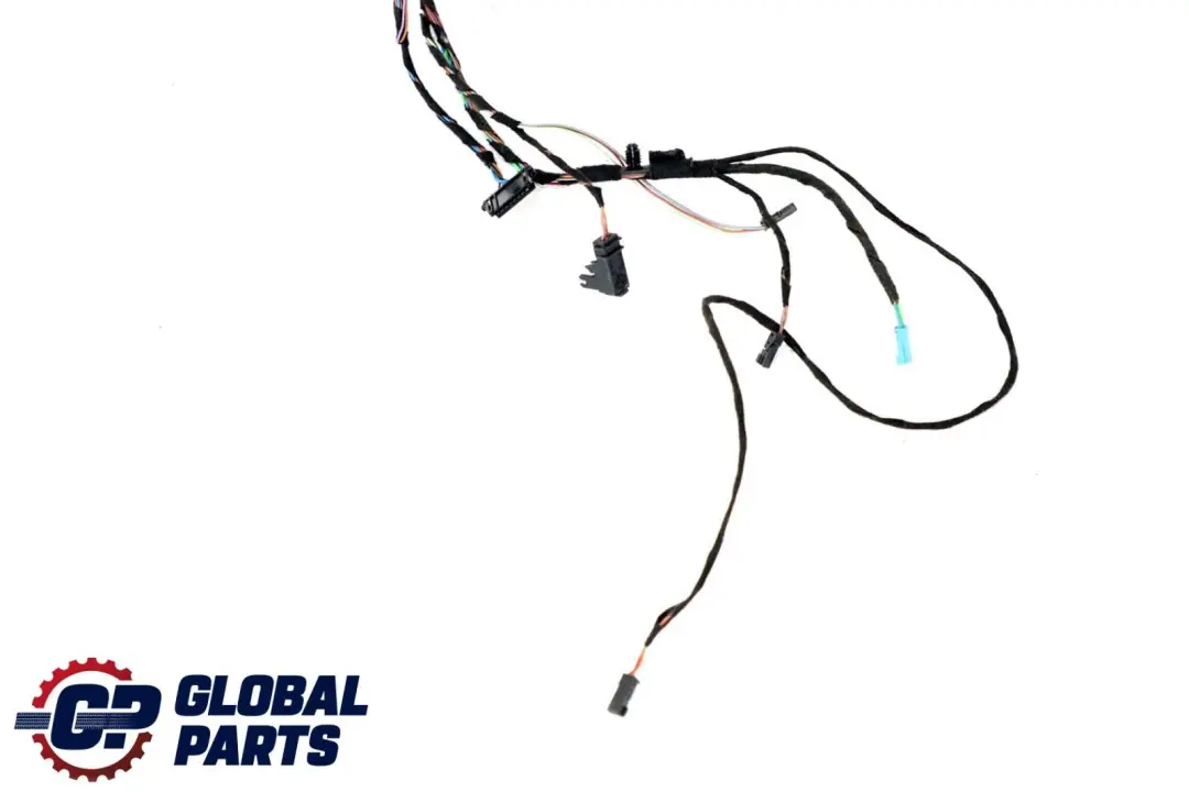 BMW X5 er E70 Kabelsatz Kabelbaum Kabel Tür Türe Hinten Rechts Links - SKU 9116978 - Teilenummer 9116978