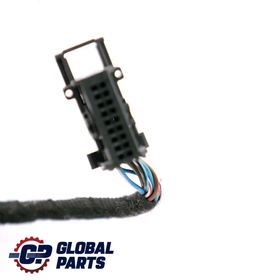 BMW E81 E82 Driver Side Offside Door Wiring Loom Harness - SKU 9118101 - Número de pieza 9118101
