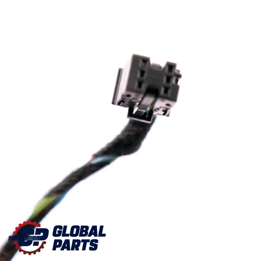 BMW 1 E81 E82 Cable equipe Porte Cote Conducteur - SKU 9118101 - Numéro de pièce 9118101