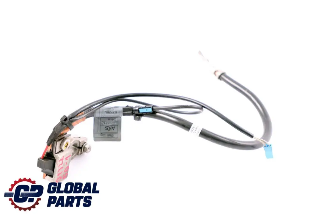 IBS Negative Battery Lead Cable 6970681 to BMW 5 Series E61 E61N LCI with Part number 9132250 BMW 5 Series E61 E61N LCI IBS Negative Battery Lead Cable 6970681 - SKU 9132250-1 - Part number 9132250