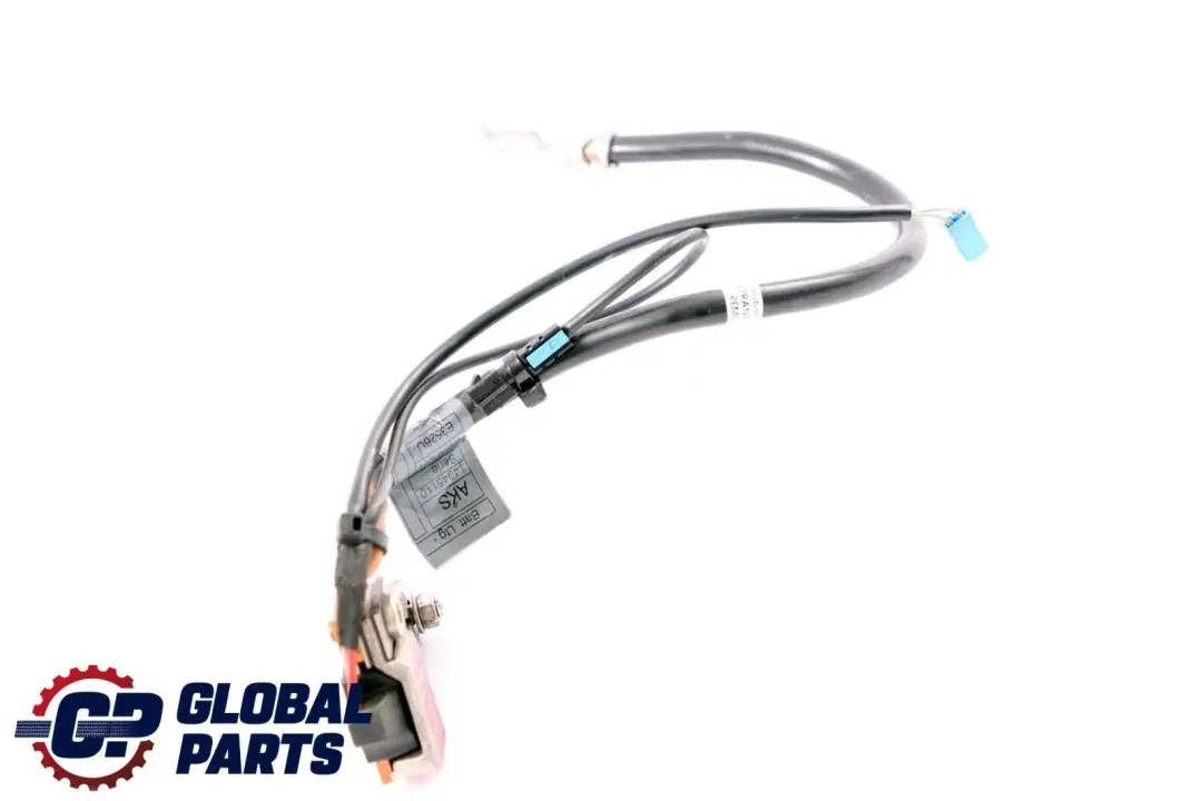 BMW 5 Series E61 E61N LCI IBS Negative Battery Lead Cable 6970681 - SKU 9132250-1 - Part number 9132250