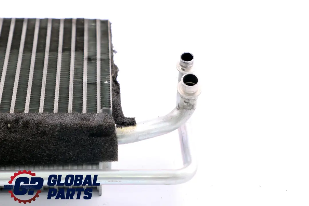 Vaporizzatore Aria Condizionata per BMW X3 E46 E83 con numero di parte 9135744 BMW X3 E46 E83 Vaporizzatore Aria Condizionata - SKU 9135744 - Numero di parte 9135744