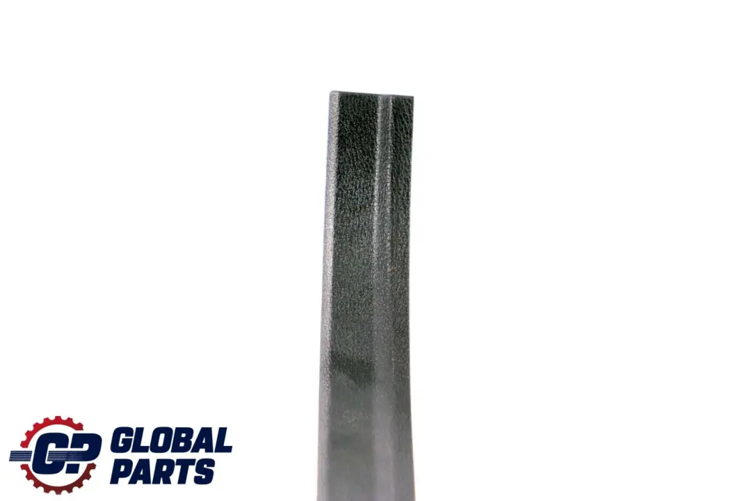 BMW X6 E71 Cover Strip Entrance Inner Rear Left Black 9138225 - SKU 9151005 - Part number 7344559