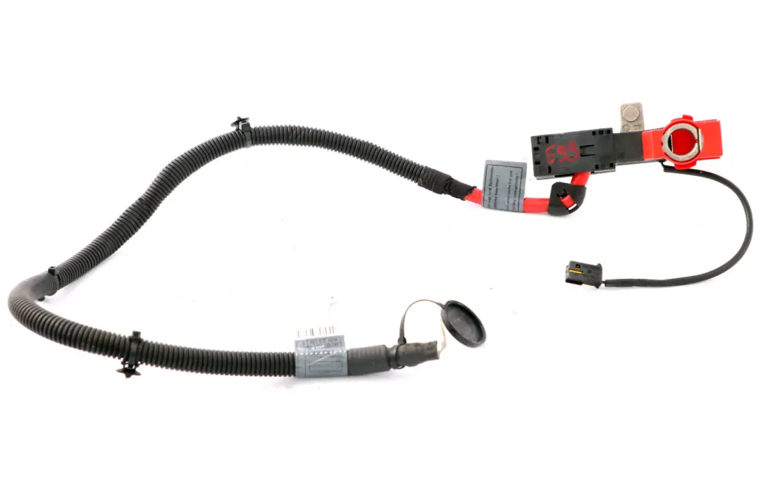 BMW Serie 3 E93 E93N LCI Cabrio Cavo Batteria Più Polo - SKU 9160101 - Numero di parte 9160101