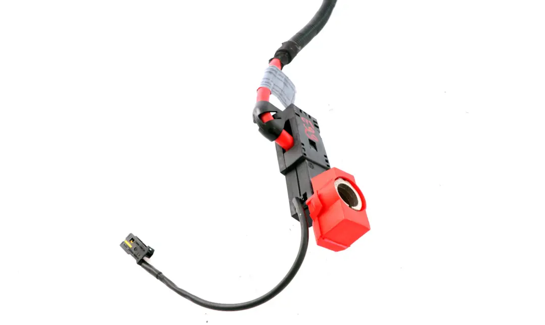 E93N LCI Cabrio Cavo Batteria Più Polo per BMW Serie 3 E93 con numero di parte 9160101 BMW Serie 3 E93 E93N LCI Cabrio Cavo Batteria Più Polo - SKU 9160101 - Numero di parte 9160101