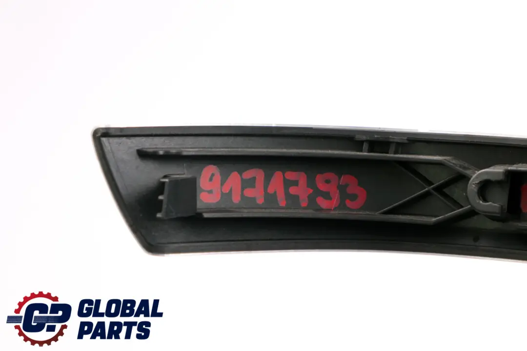 BMW 3 Reihe E90 E91 LCI Dekorleiste Tür Hinten Links Alu Feinschliff - SKU 9171793 - Teilenummer 9171793