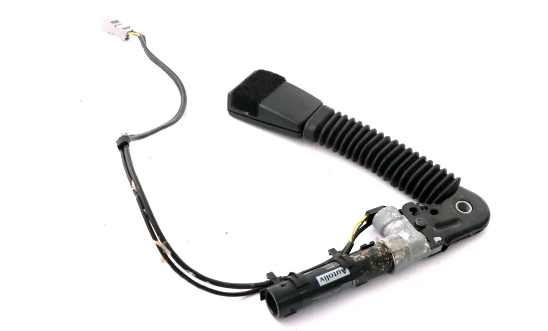 Tendeur Ceinture Inférieur Droit pour BMW E93 Cabriolet à propos du numéro de pièce 9117668 BMW E93 Cabriolet Tendeur Ceinture Inférieur Droit - SKU 9177772 - Numéro de pièce 9117668