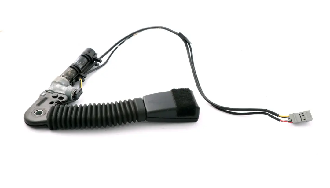 Tendeur Ceinture Inférieur Droit pour BMW E93 Cabriolet à propos du numéro de pièce 9117668 BMW E93 Cabriolet Tendeur Ceinture Inférieur Droit - SKU 9177772 - Numéro de pièce 9117668