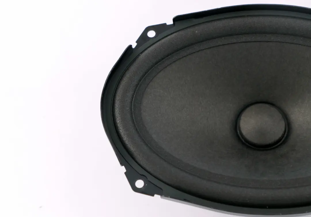 Mini R55 R56 R57 LCI Woofer Porta Altoparlante Hifi Harman Kardon - SKU 9194842 - Numero di parte 9194842
