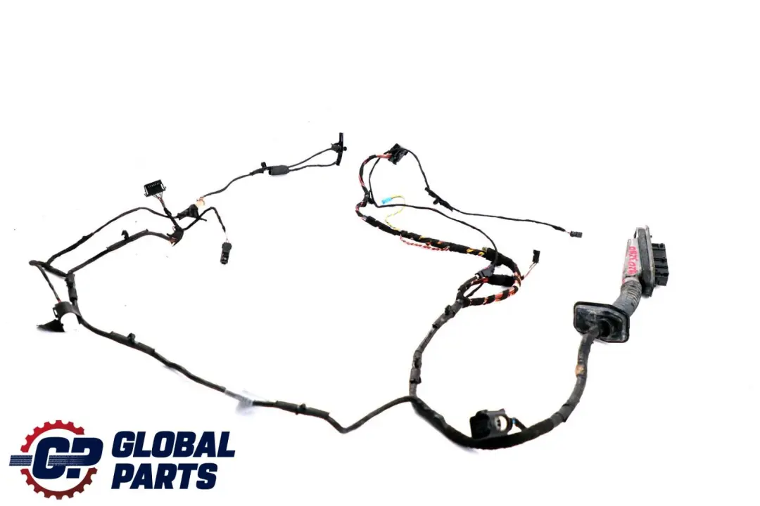 BMW X6 er E71 Kabelsatz Kabelbaum Kabel Tür Türe Fahrerseite 6900920 - SKU 9203280 - Teilenummer 9203280