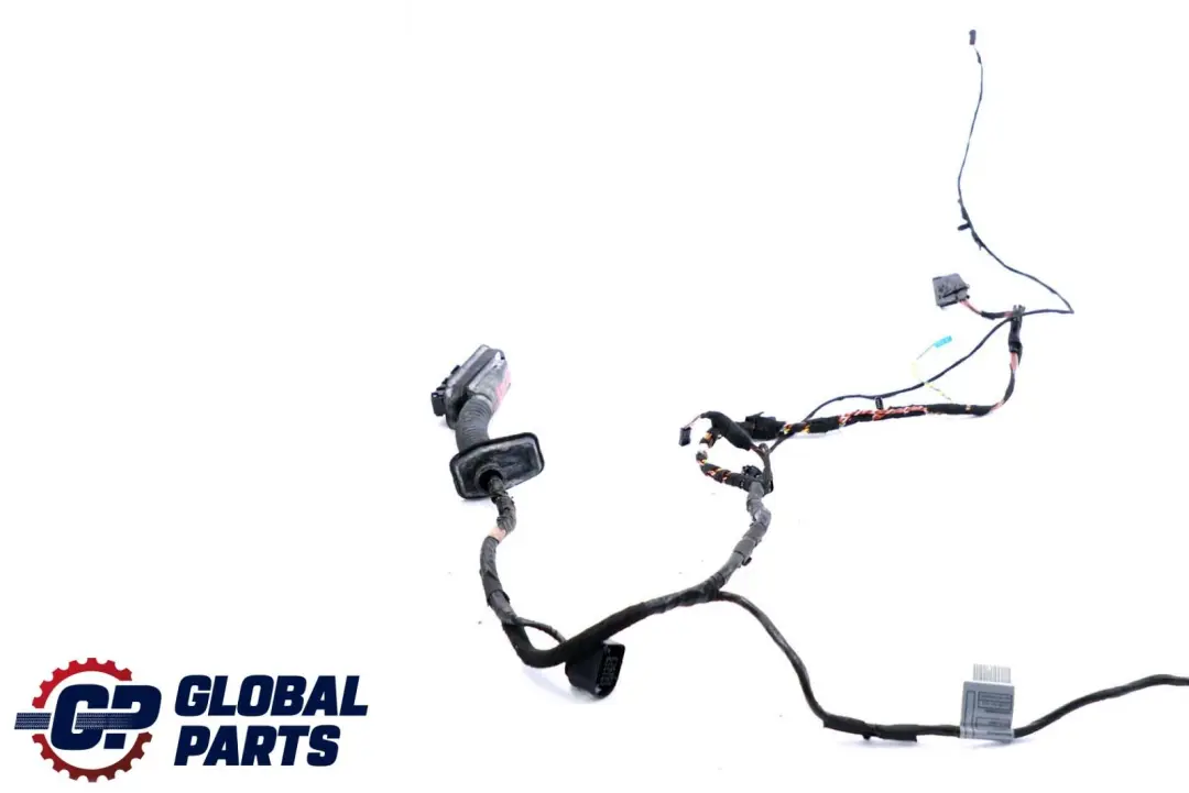 BMW X6 er E71 Kabelsatz Kabelbaum Kabel Tür Türe Fahrerseite 6900920 - SKU 9203280 - Teilenummer 9203280