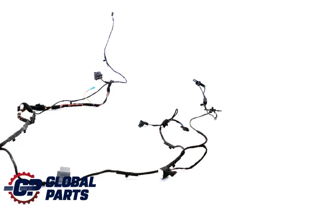 BMW X6 er E71 Kabelsatz Kabelbaum Kabel Tür Türe Fahrerseite 6900920 - SKU 9203280 - Teilenummer 9203280