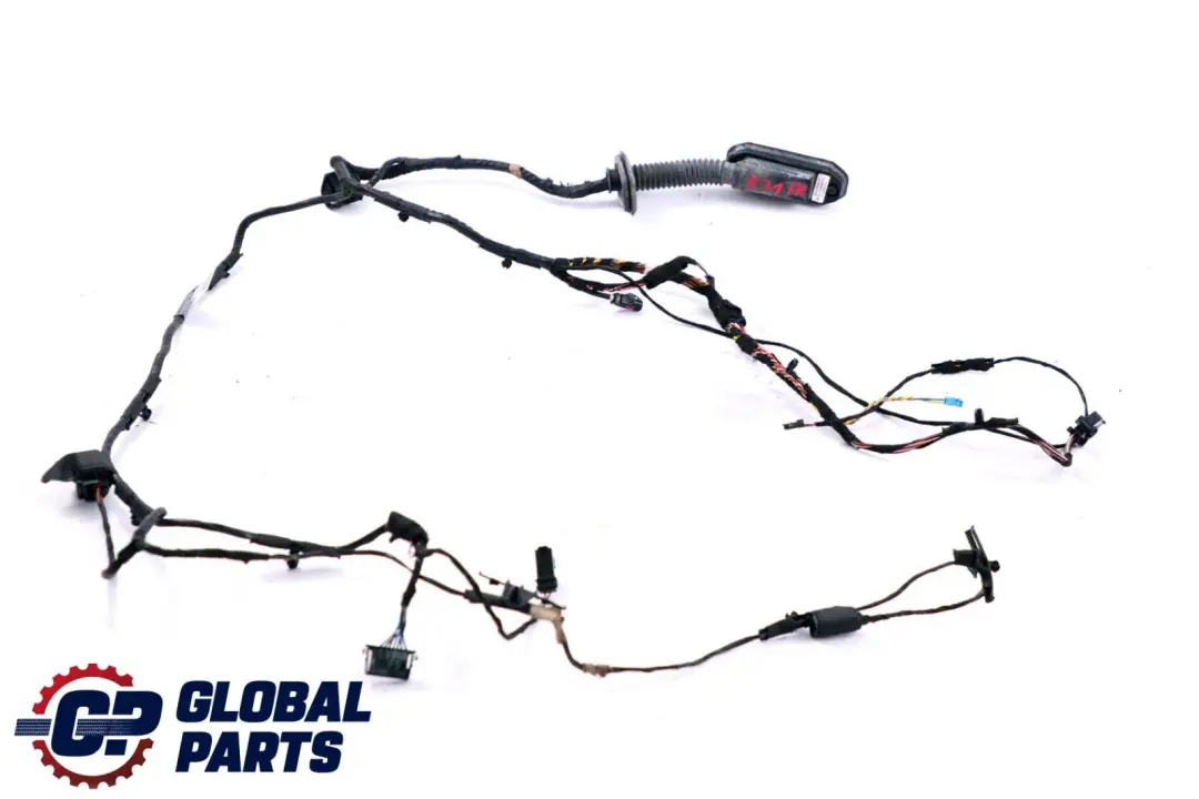 Cable Loom Door Front Driver's Side Wiring Harness 6900920 to BMW X6 Series E71 with Part number 9203280 BMW X6 Series E71 Cable Loom Door Front Driver's Side Wiring Harness 6900920 - SKU 9203280 - Part number 9203280