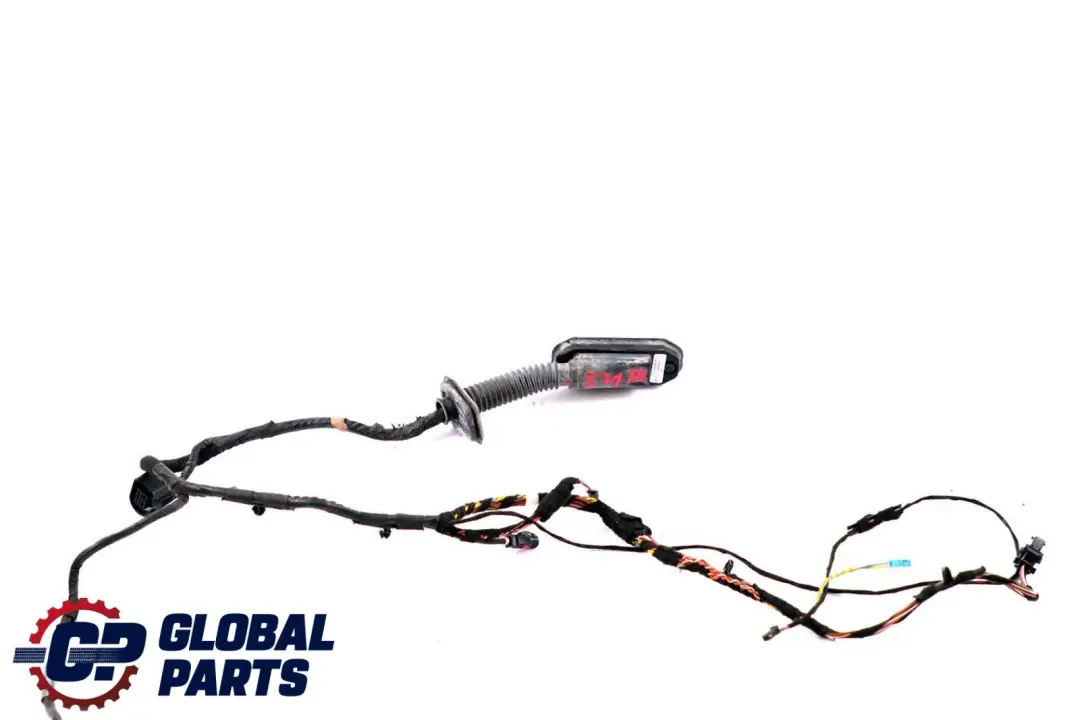 BMW X6 er E71 Kabelsatz Kabelbaum Kabel Tür Türe Fahrerseite 6900920 - SKU 9203280 - Teilenummer 9203280