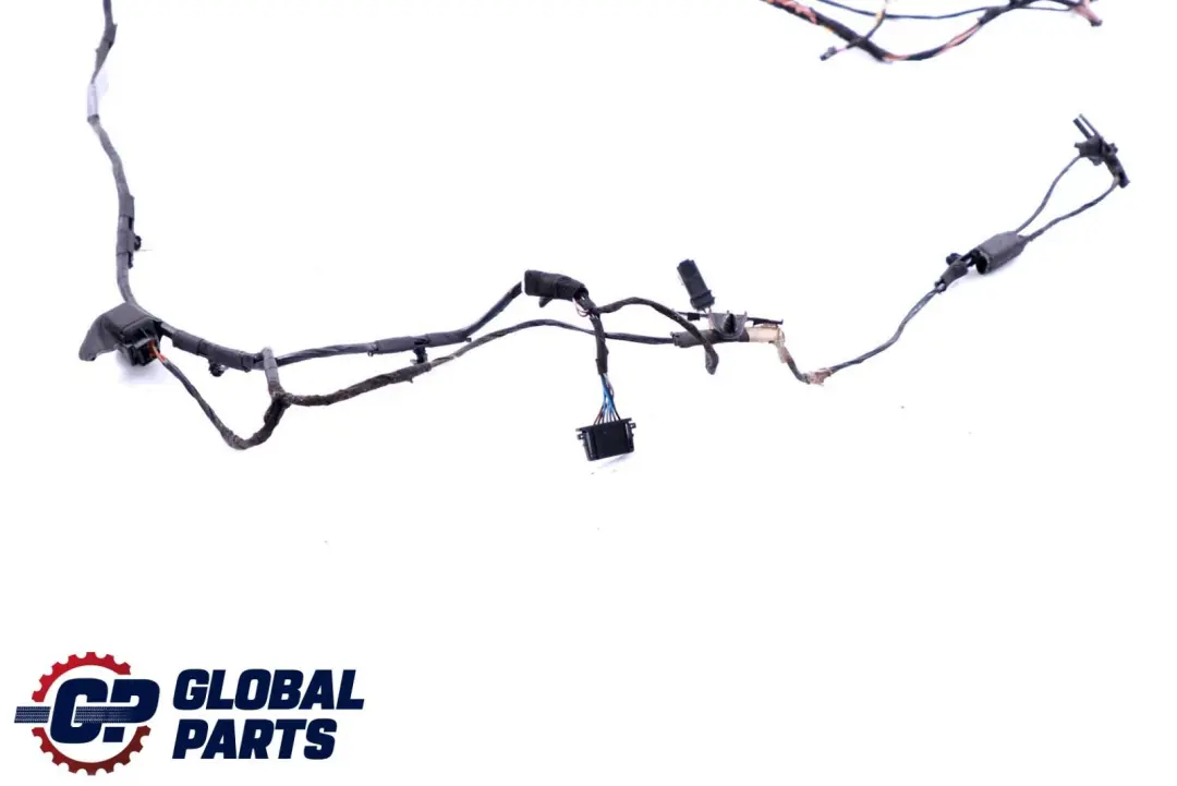 Kabelsatz Kabelbaum Kabel Tür Türe Fahrerseite 6900920 für BMW X6 er E71 mit Teilenummer 9203280 BMW X6 er E71 Kabelsatz Kabelbaum Kabel Tür Türe Fahrerseite 6900920 - SKU 9203280 - Teilenummer 9203280