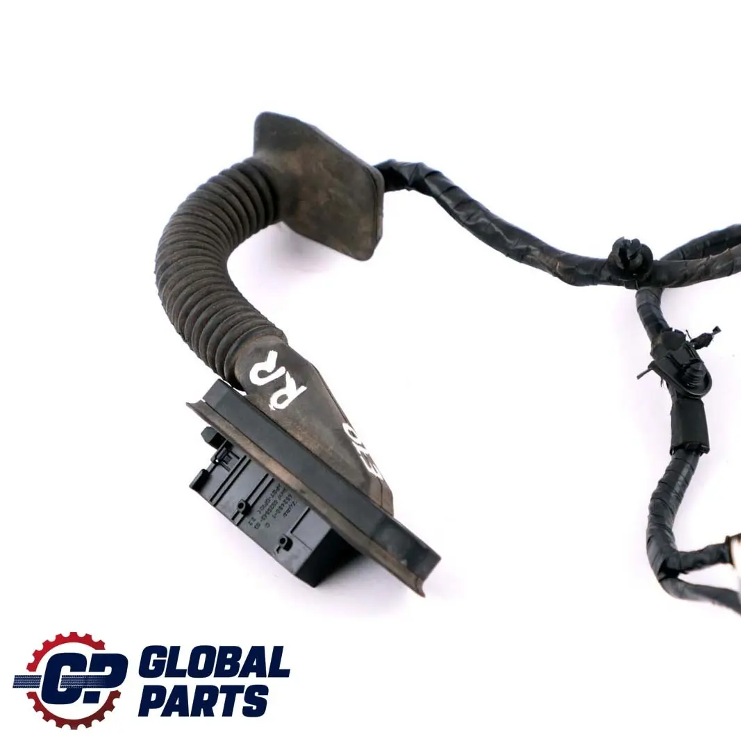 BMW X5 E70 Kabelstrang Tür Hinten Links Rechts Kabelbaum 9207857 - SKU 9203304 - Teilenummer 9203304