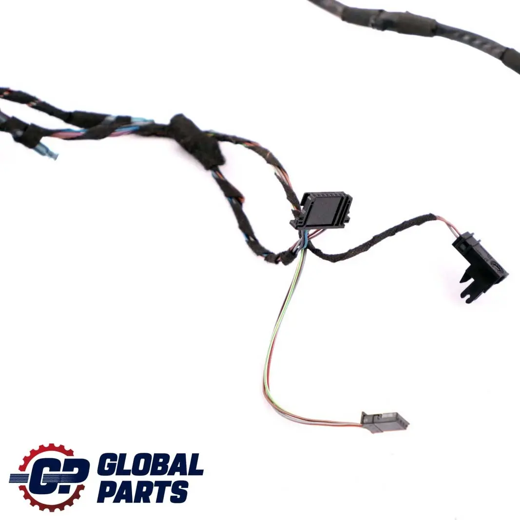 BMW X5 E70 Kabelstrang Tür Hinten Links Rechts Kabelbaum 9207857 - SKU 9203304 - Teilenummer 9203304