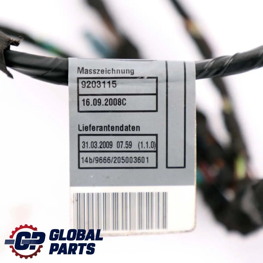 BMW X5 E70 Kabelstrang Tür Hinten Links Rechts Kabelbaum 9207857 - SKU 9203304 - Teilenummer 9203304