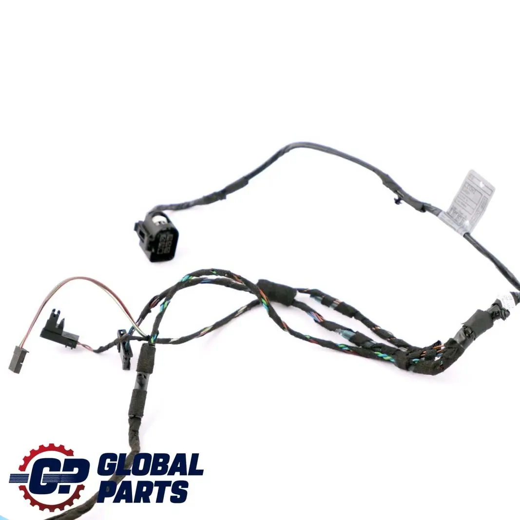 BMW X5 E70 Kabelstrang Tür Hinten Links Rechts Kabelbaum 9207857 - SKU 9203304 - Teilenummer 9203304