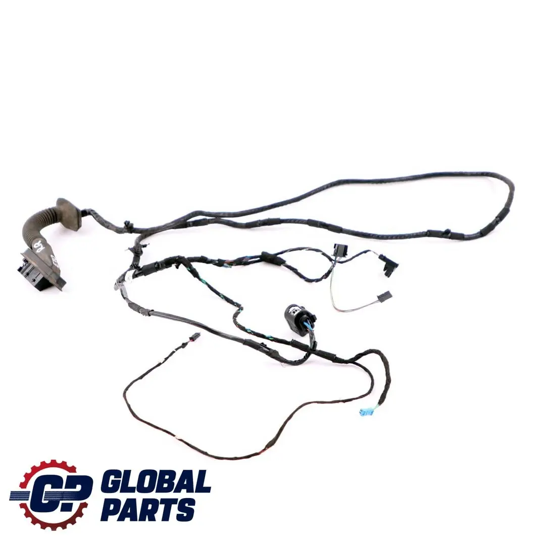 BMW X5 E70 Cable Loom Puerta Trasera Izquierda Derecha Mazo de cables 9207857
