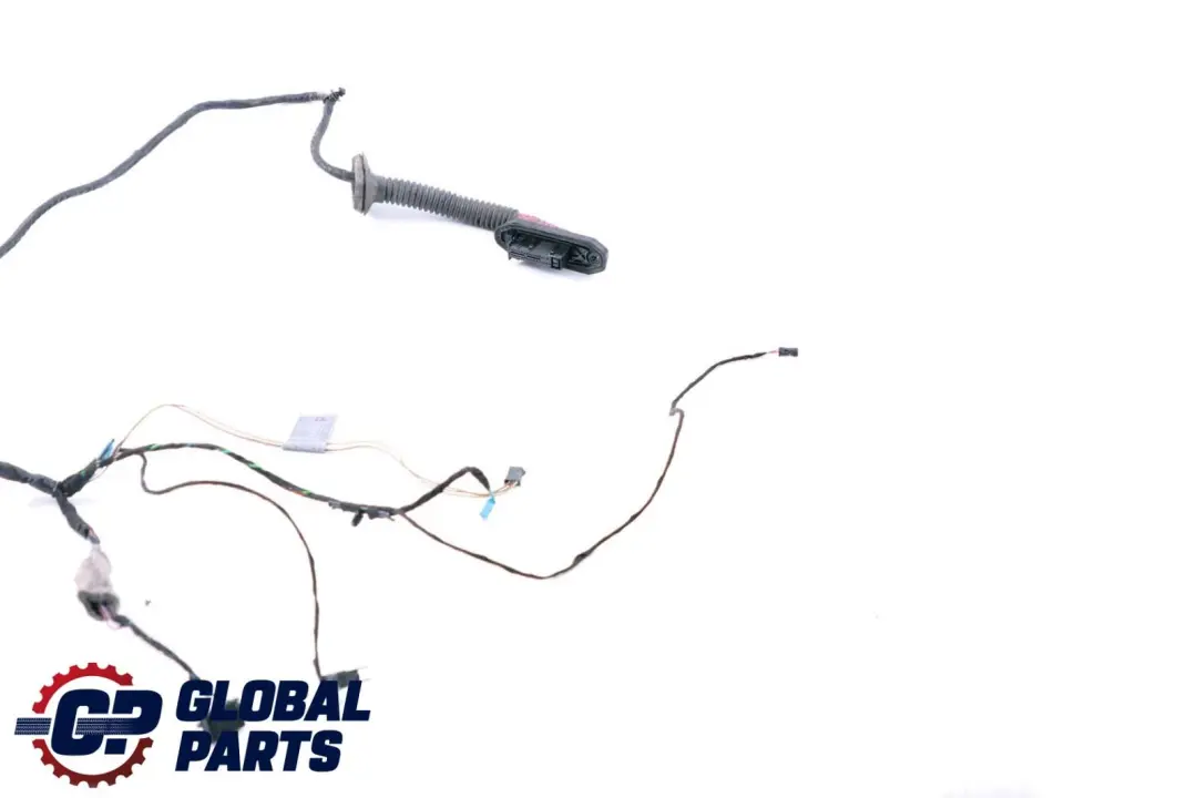 BMW X6 er E71 Kabelsatz Kabelbaum Kabel Tür Türe Hinten Rechts Links 9207860 - SKU 9203309 - Teilenummer 9203309