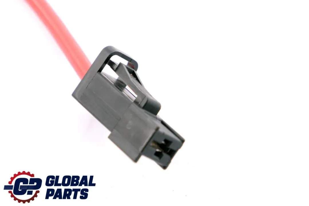 BMW X1 E84 Condotta Batteria Plus - SKU 9207521 - Numero di parte 9207521