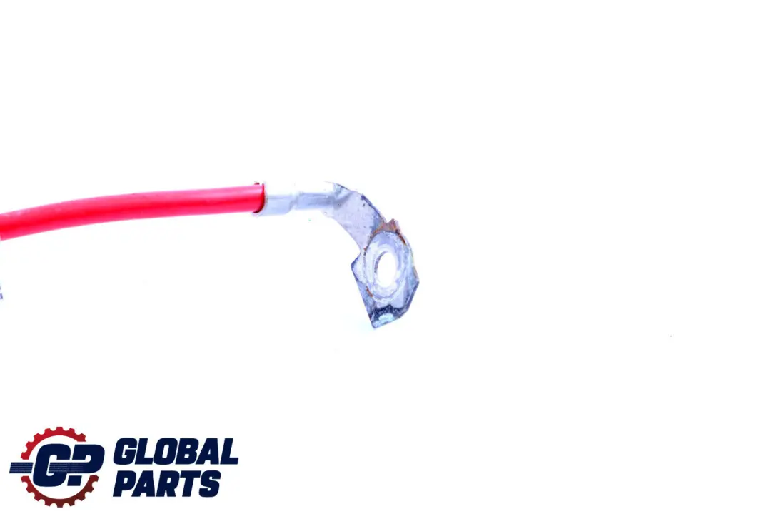 BMW X1 E84 Positiv Batterie Rot Kabel Verdrahtung Plus Blei - SKU 9207521 - Teilenummer 9207521