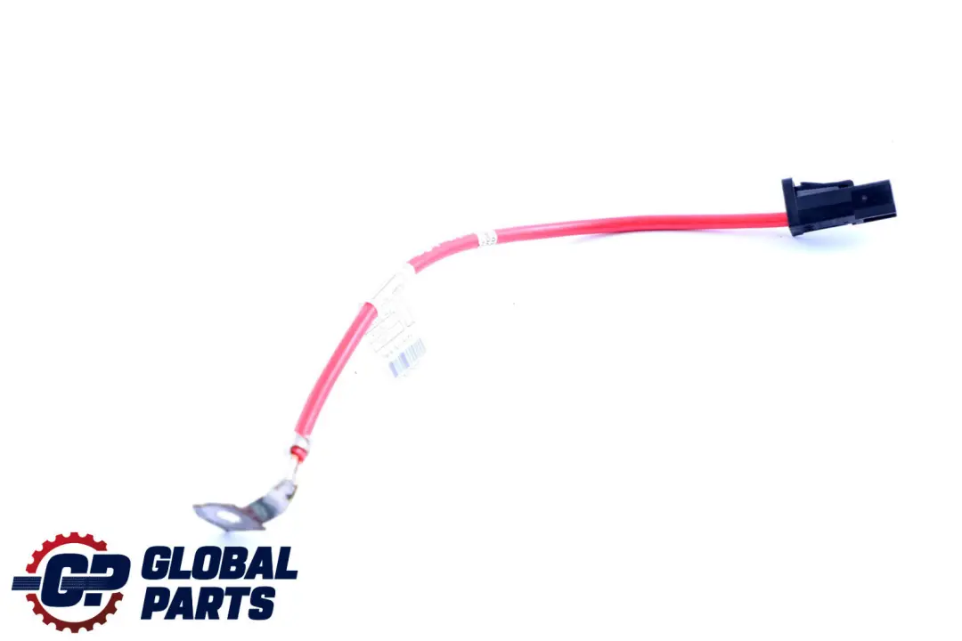 BMW X1 E84 Condotta Batteria Plus - SKU 9207521 - Numero di parte 9207521
