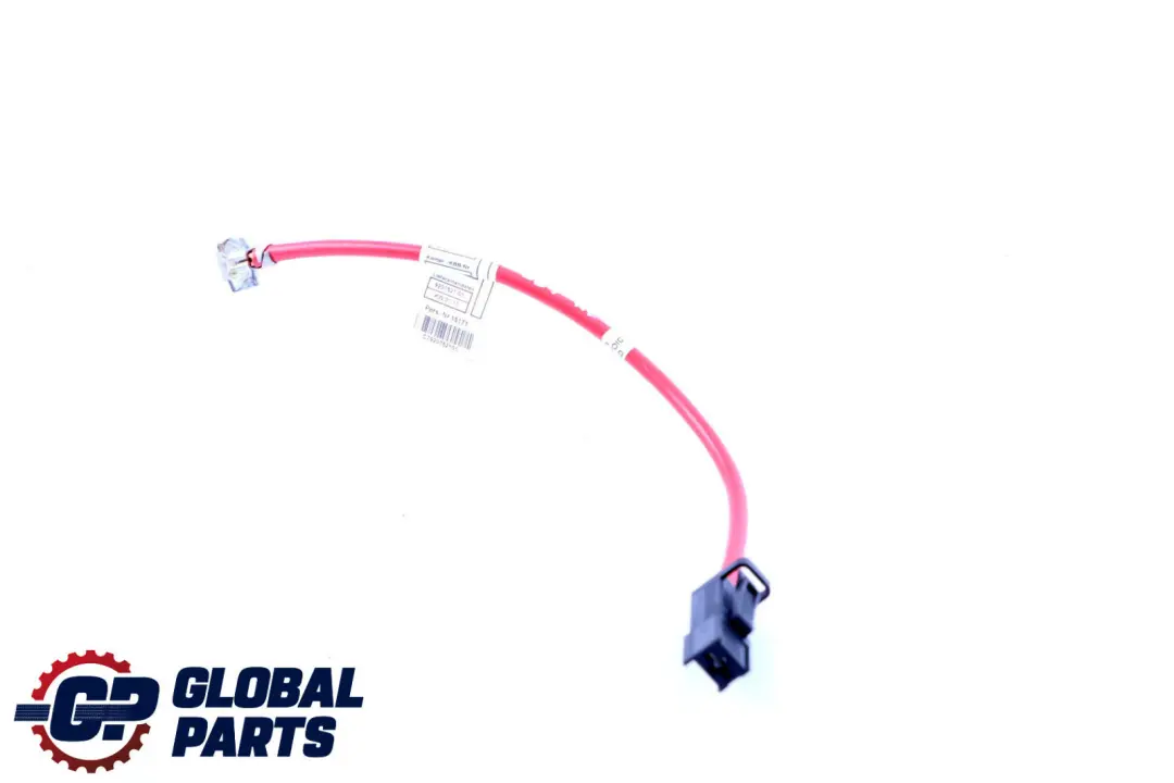 BMW X1 E84 Condotta Batteria Plus - SKU 9207521 - Numero di parte 9207521