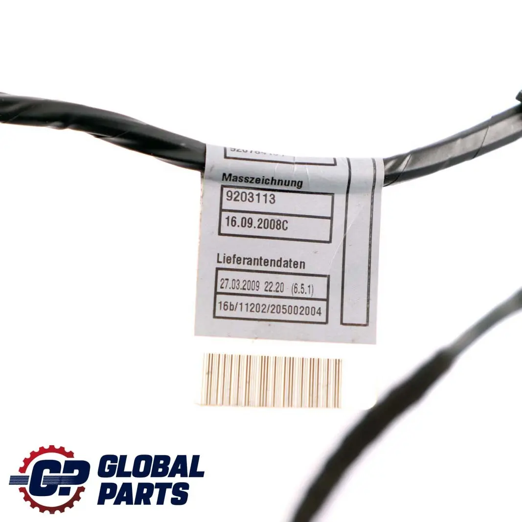 BMW X5 E70 Wiązka Instalacja Drzwi Prawy Przód - SKU 9207846 - Numer Części 9207846