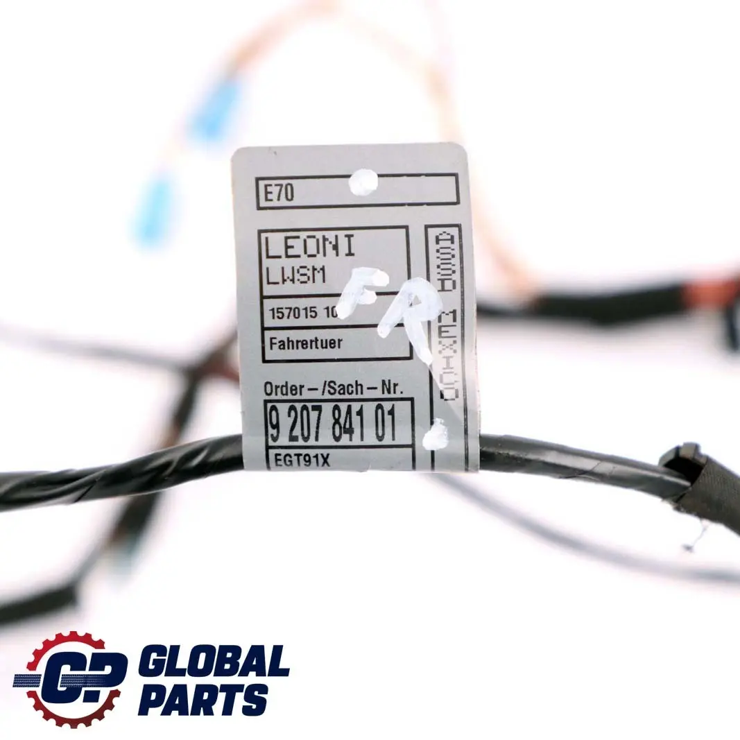 BMW X5 Serie E70 Lato conducente anteriore destro cablaggio cavo porta 9207841 - SKU 9207846 - Numero di parte 9207846