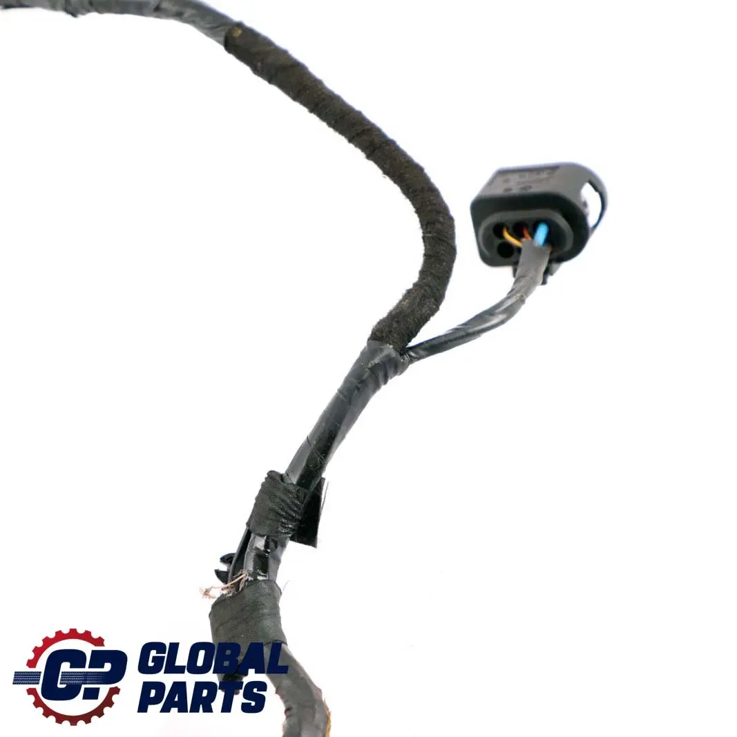 BMW X5 E70 Wiązka Instalacja Drzwi Prawy Przód - SKU 9207846 - Numer Części 9207846